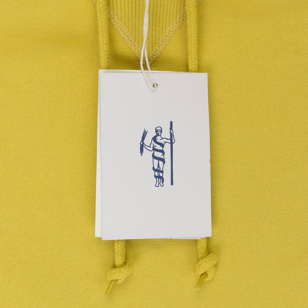 PULLOVER MUSTARD HOODIE